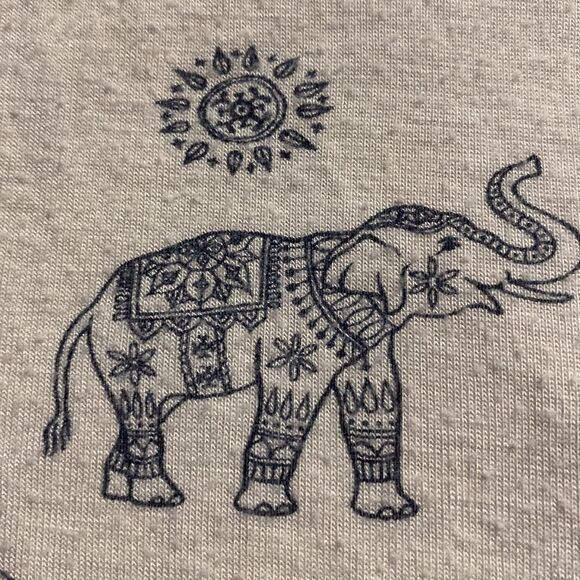 Raw Hem HOLLISTER Elephant Print Tee Shirt - Picture 2 of 9